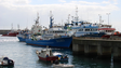 Remodelação do porto de pesca do Caniçal recebe 4 candidaturas