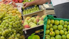 Imagem de Exportações de frutas e legumes passam 1.000 milhões de euros pela primeira vez no 1.º semestre