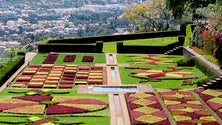 Imagem de Jardim Botânico da Madeira já se encontra aberto
