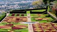 Imagem de Jardim Botânico da Madeira já se encontra aberto