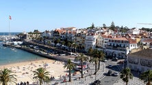 Imagem de Covid-19: Câmara de Cascais reitera cerca sanitária aos transportes que entram no concelho