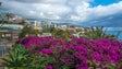 Imagem de Relatório do Eurostat destaca o Turismo do Funchal