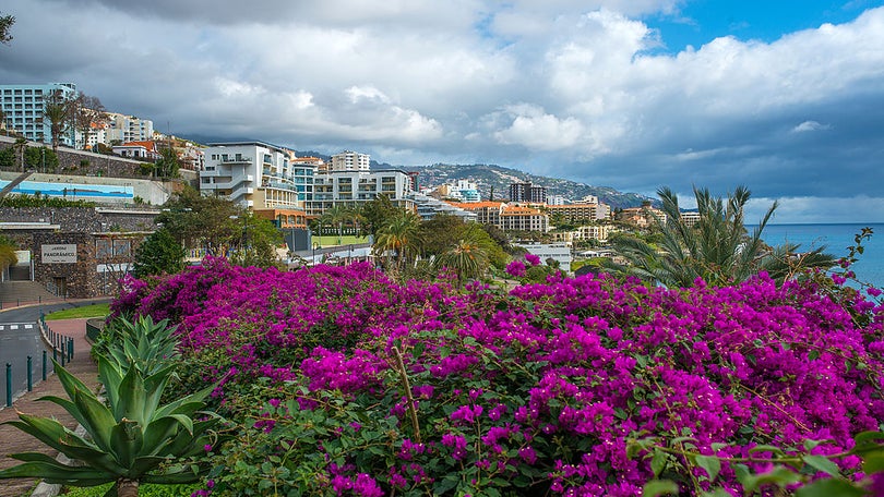 Relatório do Eurostat destaca o Turismo do Funchal