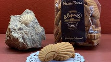 Fósseis de Santa Maria são inspiração para novos biscoitos (Vídeo)