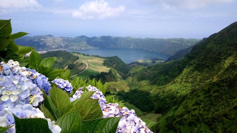 Imagem de Governo dos Açores prepara pacotes turísticos para o mercado nacional com parceiros