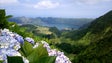Governo dos Açores prepara pacotes turísticos para o mercado nacional com parceiros