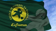 Imagem de Escolas de futebol anseiam regresso à atividade (vídeo)