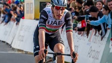 Imagem de Almeida garante que ausência de Evenepoel não altera a sua estratégia