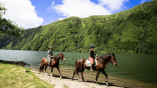 Imagem de Açores com boas condições para criar cavalos (Vídeo)