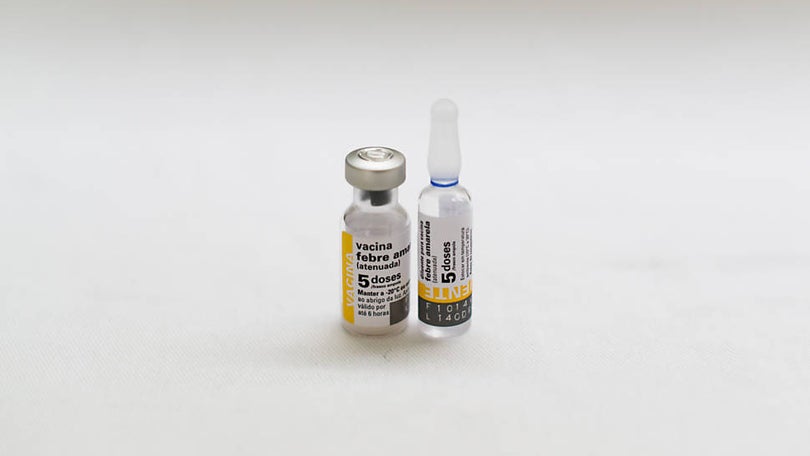 DGS recomenda vacina da febre amarela a quem viaja para o Brasil