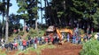 Imagem de Aprovado o regulamento Trial 4×4 Porto Moniz 2