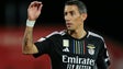 Imagem de Benfica defronta Inter Milão, Salzburgo e Real Sociedad na Liga dos Campeões