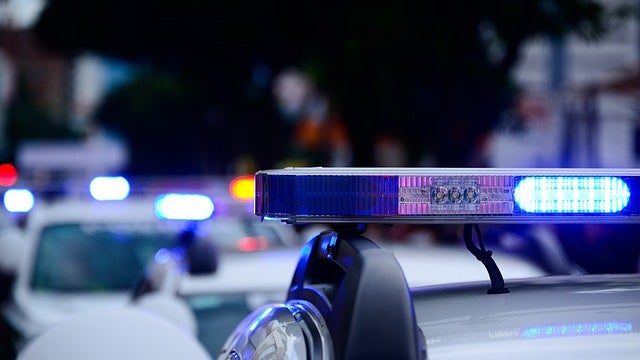 Imagem de Polícia francesa resgata 38 imigrantes amontoados num furgão