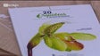 Imagem de «20 orquídeas antigas da Madeira» pretende valorizar estas plantas (vídeo)