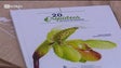 «20 orquídeas antigas da Madeira» pretende valorizar estas plantas (vídeo)