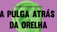 `A Pulga Atrás da Orelha` estreia hoje no Funchal