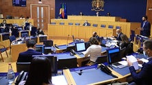 Imagem de Parlamento Regional aprova regime jurídico da atividade apícola (Áudio)