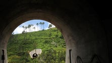 Imagem de Madeira espera concluir troço Fajã da Ovelha – Ponta do Pargo até junho de 2019