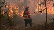 Portugal é o terceiro país com maior área ardida