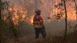 Imagem de Portugal é o terceiro país com maior área ardida
