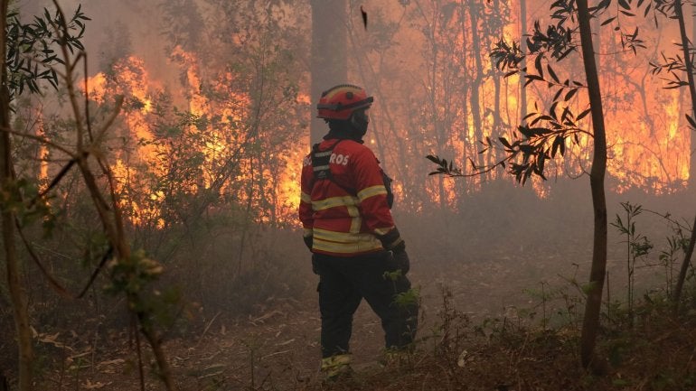 Imagem de Portugal é o terceiro país com maior área ardida