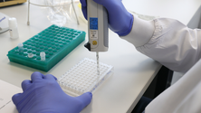 Imagem de Equipa com cientista portuguesa desvenda «arma secreta» de superbactéria que infeta intestino