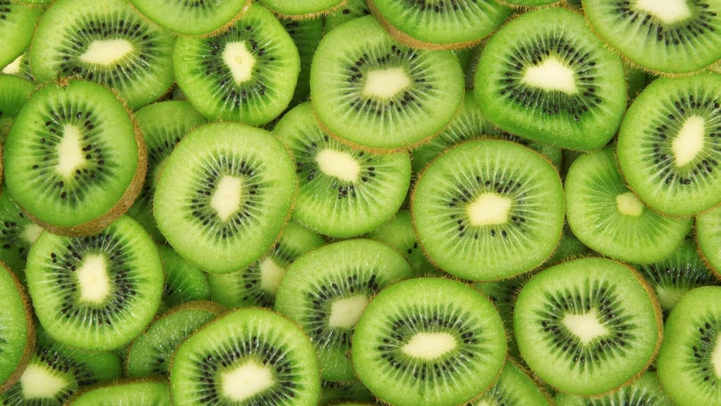 Imagem de Seca sem impacto no kiwi e vinha na região de Felgueiras