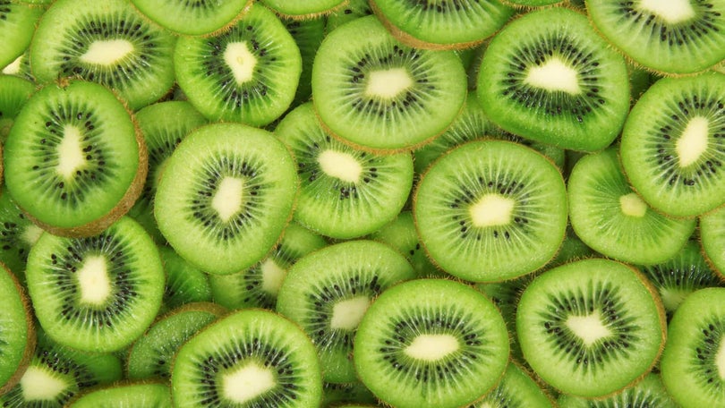 Seca sem impacto no kiwi e vinha na região de Felgueiras