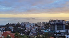 Imagem de Madeira com aumento de desemprego em dezembro