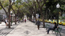 Imagem de Madeira regista mais 536 desempregados em relação ao final do mês passado (Áudio)