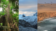 Imagem de Madeira estuda a adaptação das culturas às mudanças climáticas