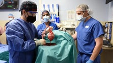 Imagem de Cirurgia inédita permite transplante de coração de porco num ser humano