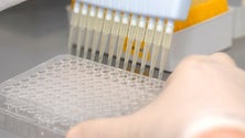 Imagem de UMa investe em novo equipamento para purificação de proteínas
