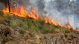 Polícia Florestal identifica autores de duas queimadas ilegais na Ribeira Brava