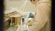 Imagem de Covid-19: Seguradoras que protegem médicos e enfermeiros garantem apoios (Vídeo)