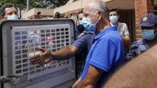 Imagem de Pedido de liberdade de Rendeiro decidido na sexta-feira