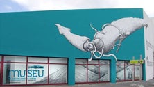 Imagem de Exposição sobre cachalotes e lulas reabre no Pico (Som)