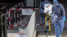 Imagem de Madeira já deu alta a 82% dos infetados