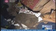 Imagem de Governo diz que há aproveitamento dos incêndios para obras em casa (Vídeo)