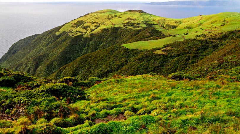 Imagem de Destruição do tecido cooperativo de São Jorge foi fatal para a economia da ilha, diz Nemésio Serpa à Antena 1 Açores