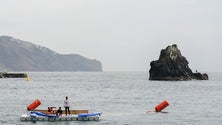 Imagem de Madeira Swim Marathon: João Pedro Sousa e Rafael Gil venceram provas principais