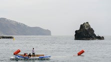 Madeira Swim Marathon: João Pedro Sousa e Rafael Gil venceram provas principais