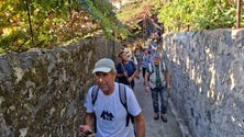 Imagem de Caminho Real à descoberta de vinhedos e capelas em Câmara de Lobos