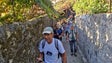 Imagem de Caminho Real à descoberta de vinhedos e capelas em Câmara de Lobos