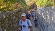 Caminho Real à descoberta de vinhedos e capelas em Câmara de Lobos