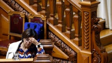 Imagem de Ministra da Agricultura desconhecia envolvimento de Carla Alves em processos judiciais