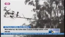 Imagem de Corte de árvores provoca indignação a moradores do Curral das Freitas ( video)