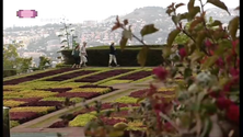 Tempo quente de novo na Madeira