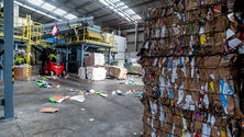 Imagem de Região regista taxa de reciclagem de 40% (Vídeo)