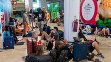 Imagem de Groundforce apela a «acordo que viabilize pagamento aos trabalhadores»